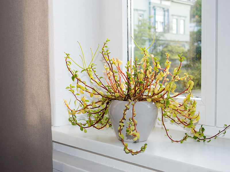 Praxisräume © Nicole Mattern Praxisräume © Nicole Mattern