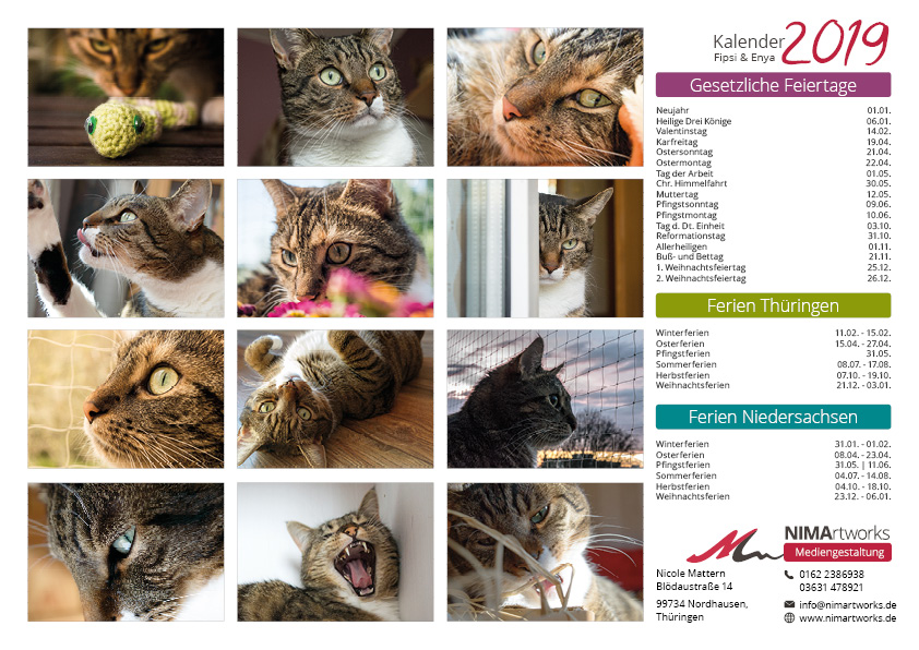 Katzenkalender 2019