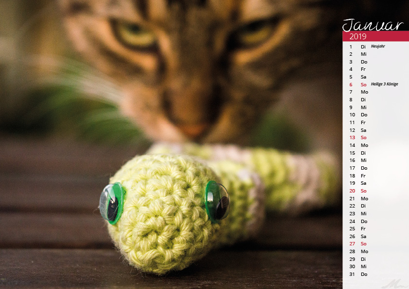 Katzenkalender 2019