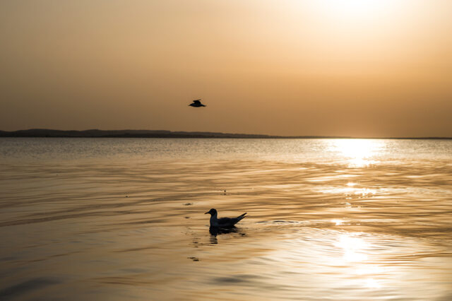 Ostsee © Nicole Mattern Ostsee © Nicole Mattern