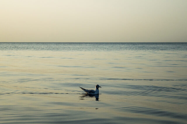 Ostsee © Nicole Mattern Ostsee © Nicole Mattern