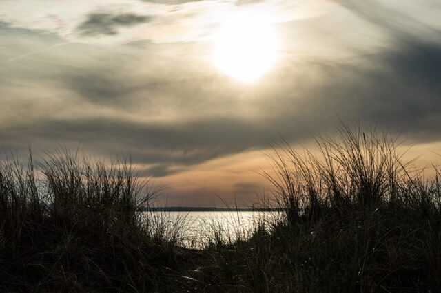 Ostsee © Nicole Mattern Ostsee © Nicole Mattern