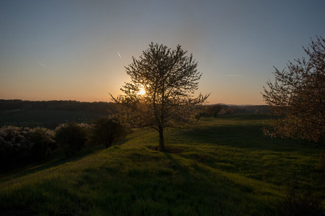 Sonnenuntergang © Nicole Mattern Sonnenuntergang © Nicole Mattern