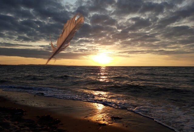Ostsee © Nicole Mattern Ostsee © Nicole Mattern