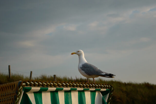 Ostsee © Nicole Mattern Ostsee © Nicole Mattern