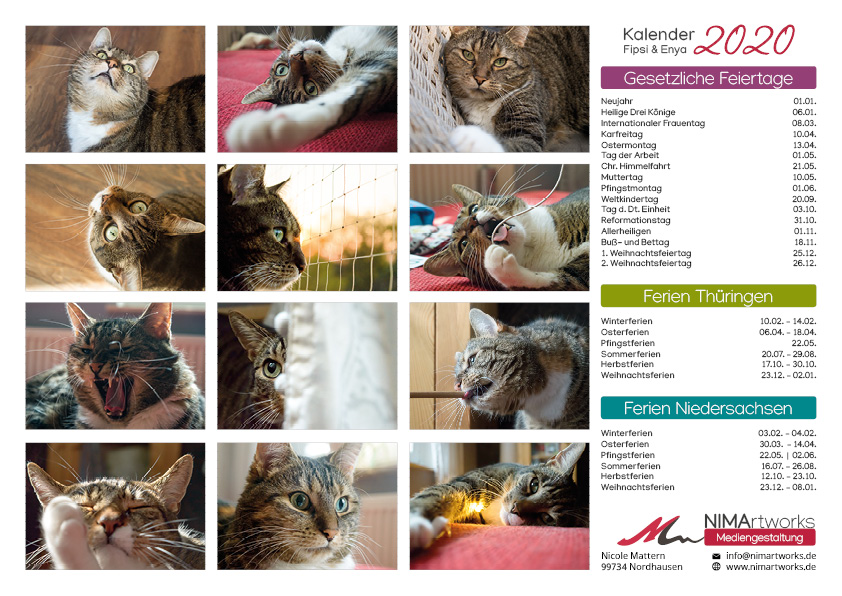 Katzenkalender 2020