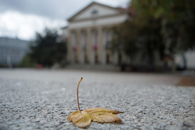 Theater © Nicole Mattern
