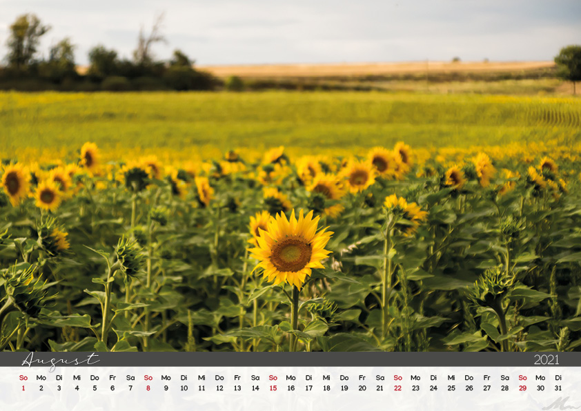 Kalender 2021 Kalender 2021