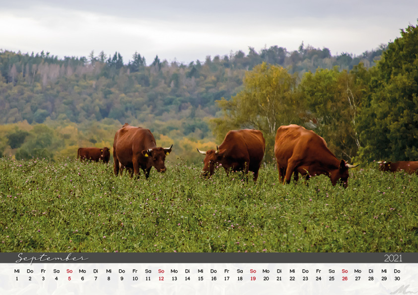 Kalender 2021 Kalender 2021