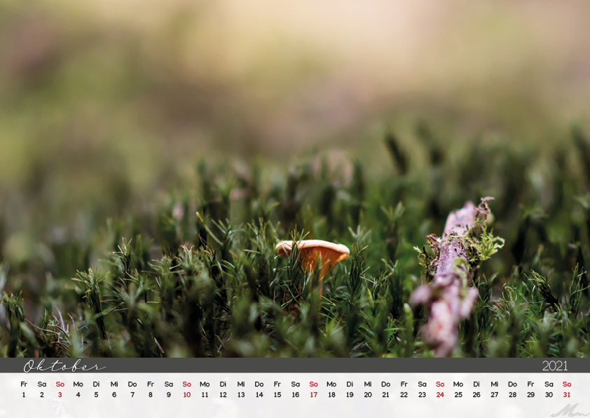 Kalender 2021 Kalender 2021