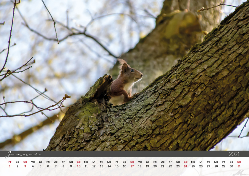 Kalender 2021 Kalender 2021