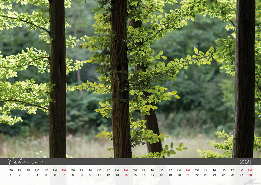 Kalender 2021 Kalender 2021