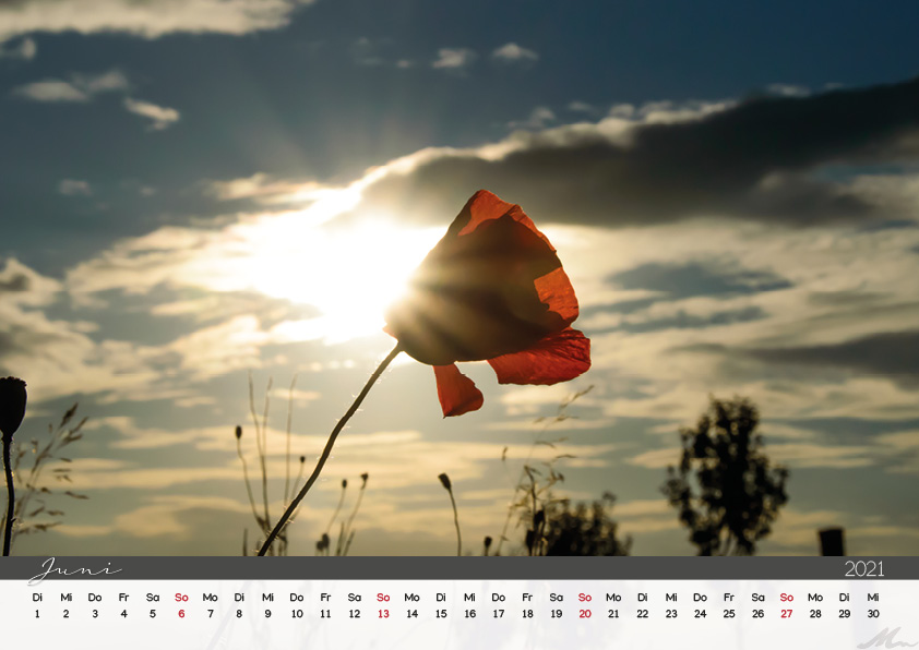 Kalender 2021 Kalender 2021