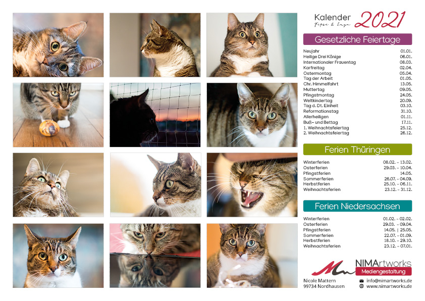 Katzenkalender 2021 Katzenkalender 2021