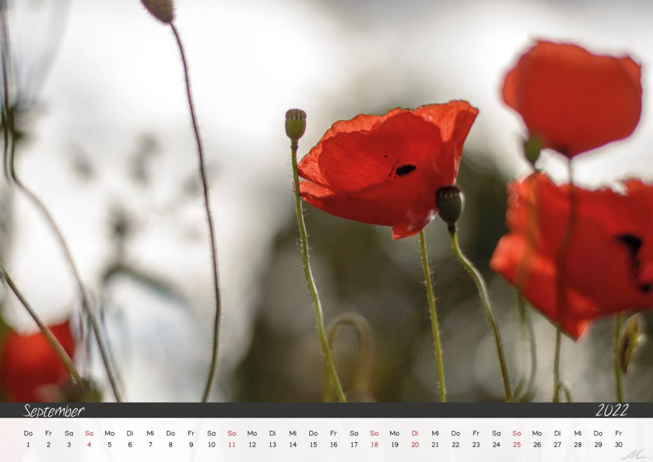 Kalender 2022 Kalender 2022
