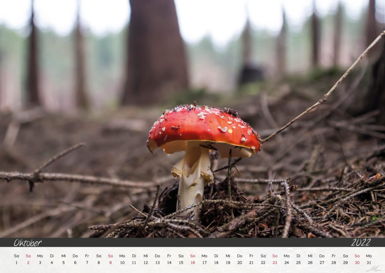 Kalender 2022 Kalender 2022