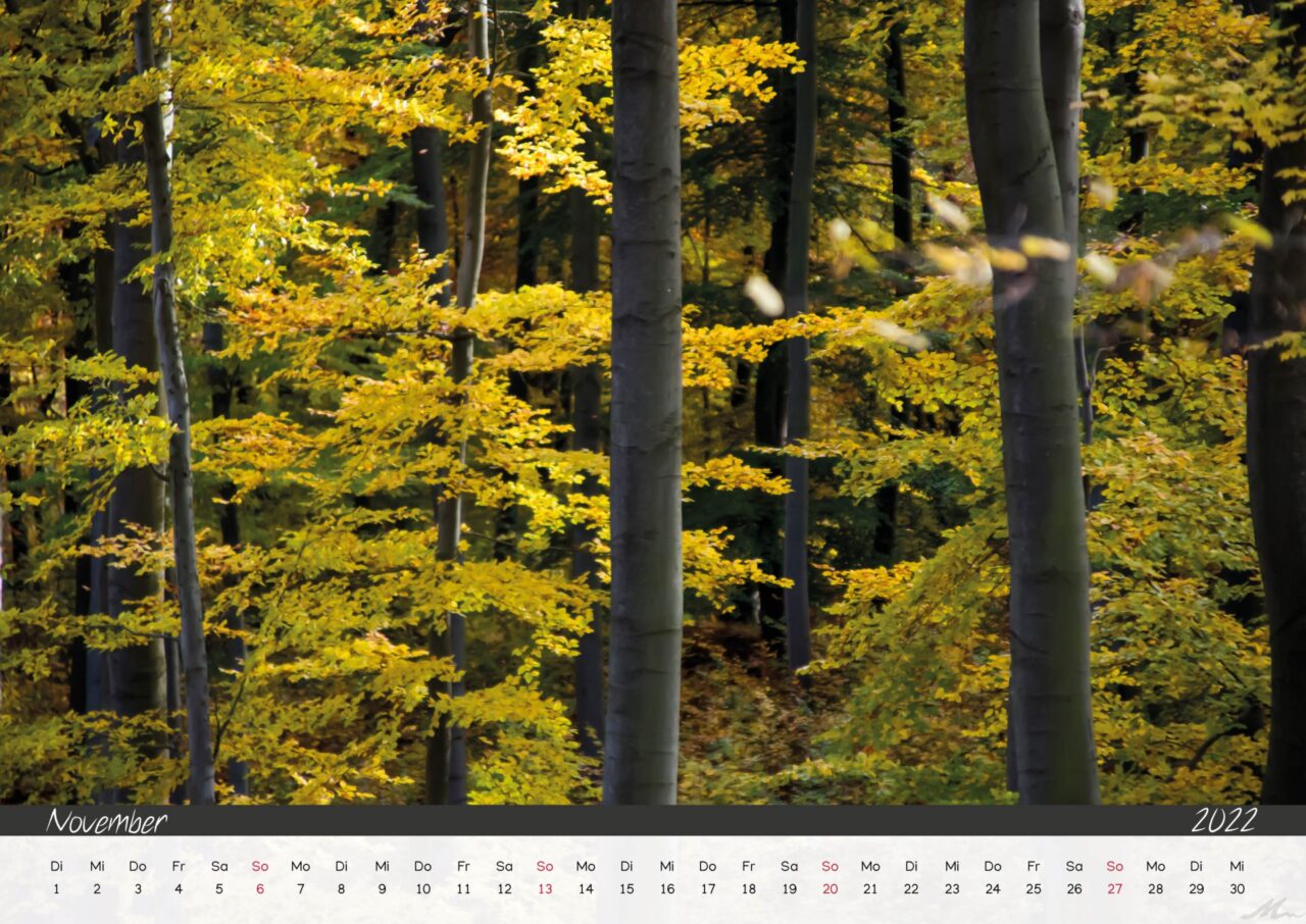Kalender 2022 Kalender 2022