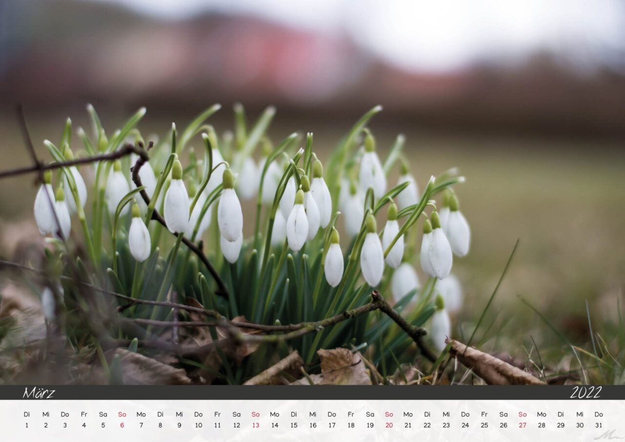 Kalender 2022 Kalender 2022