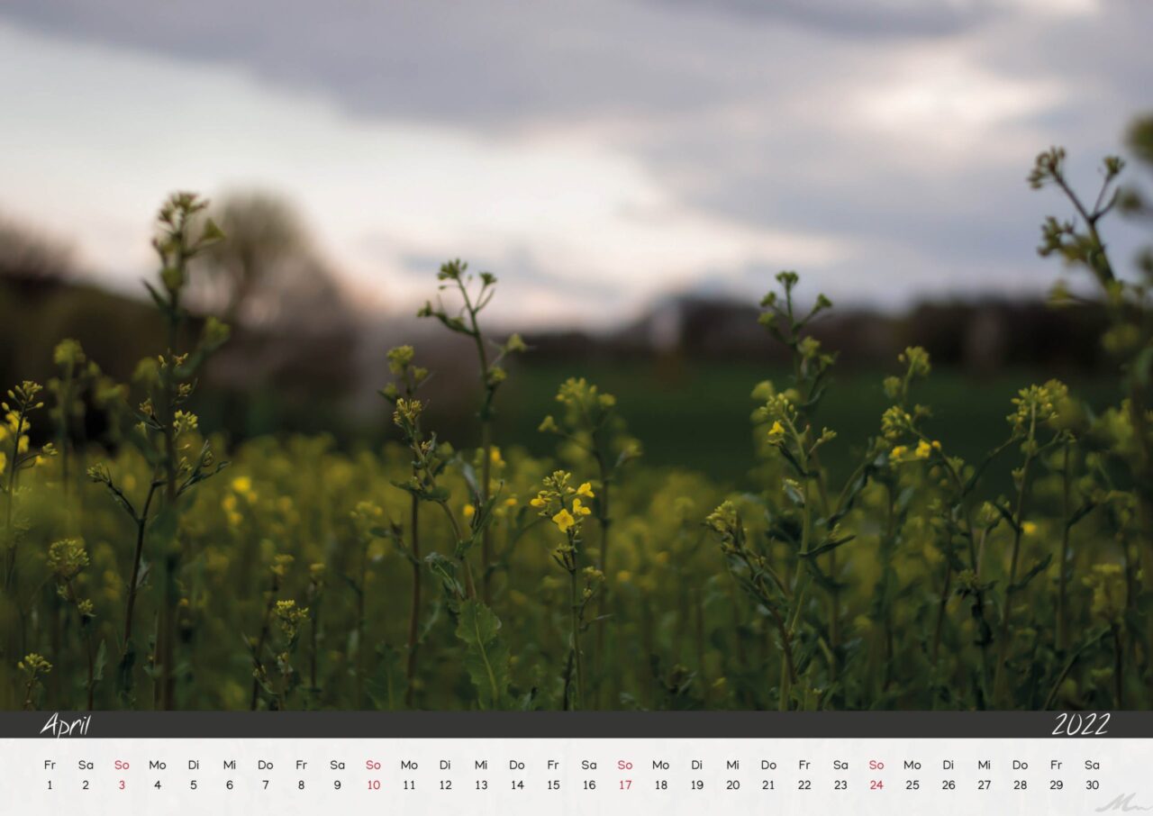 Kalender 2022 Kalender 2022
