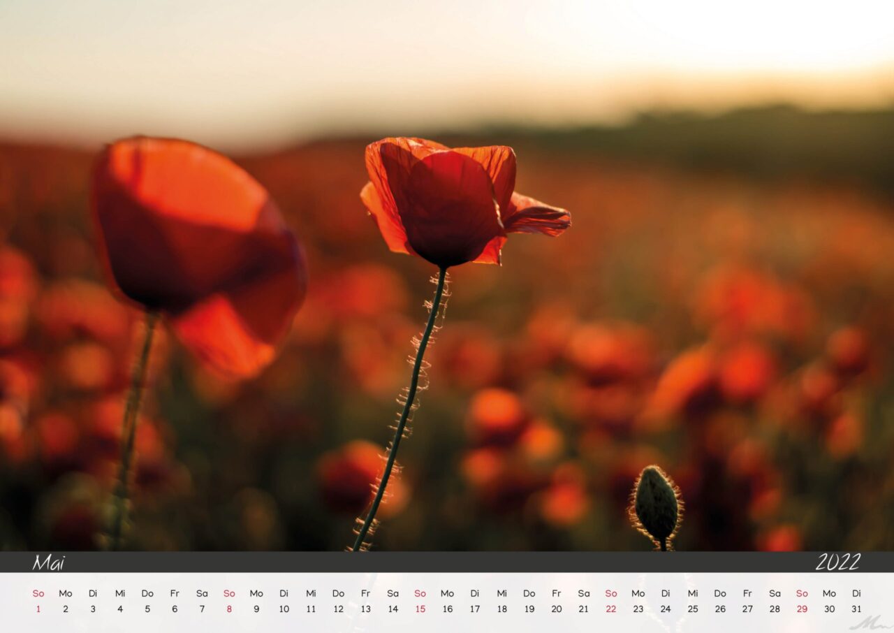 Kalender 2022 Kalender 2022