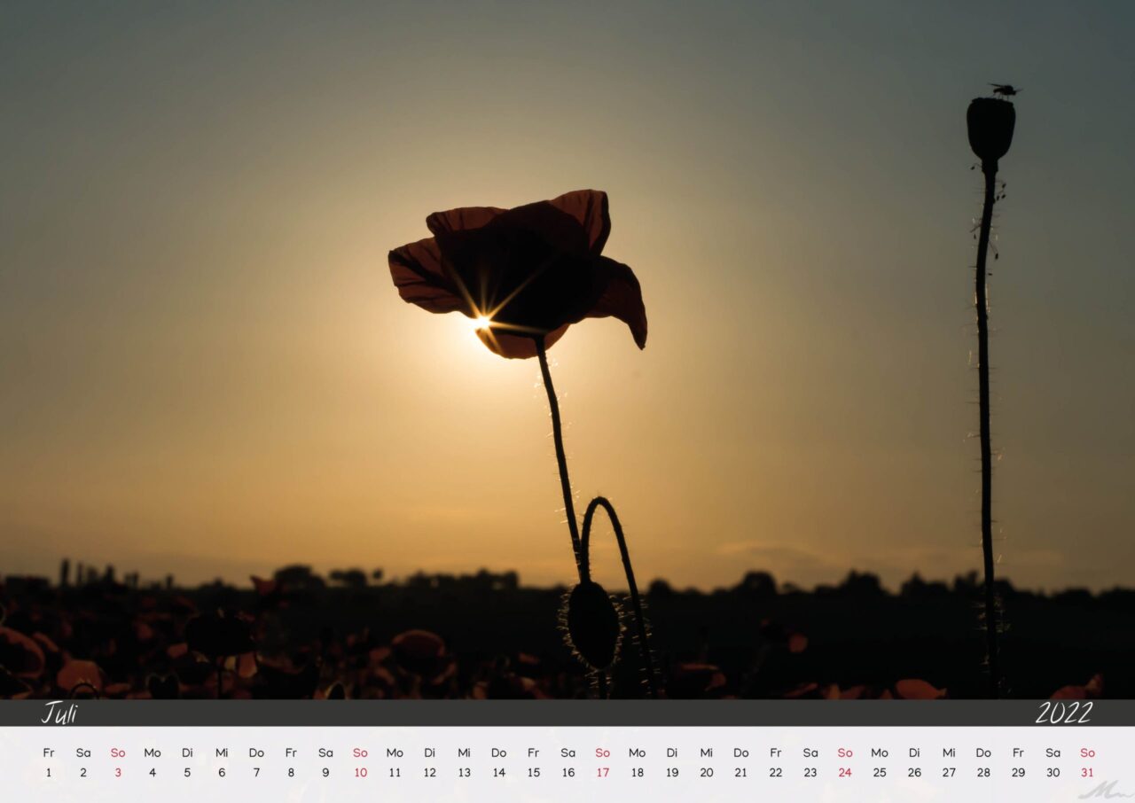 Kalender 2022 Kalender 2022