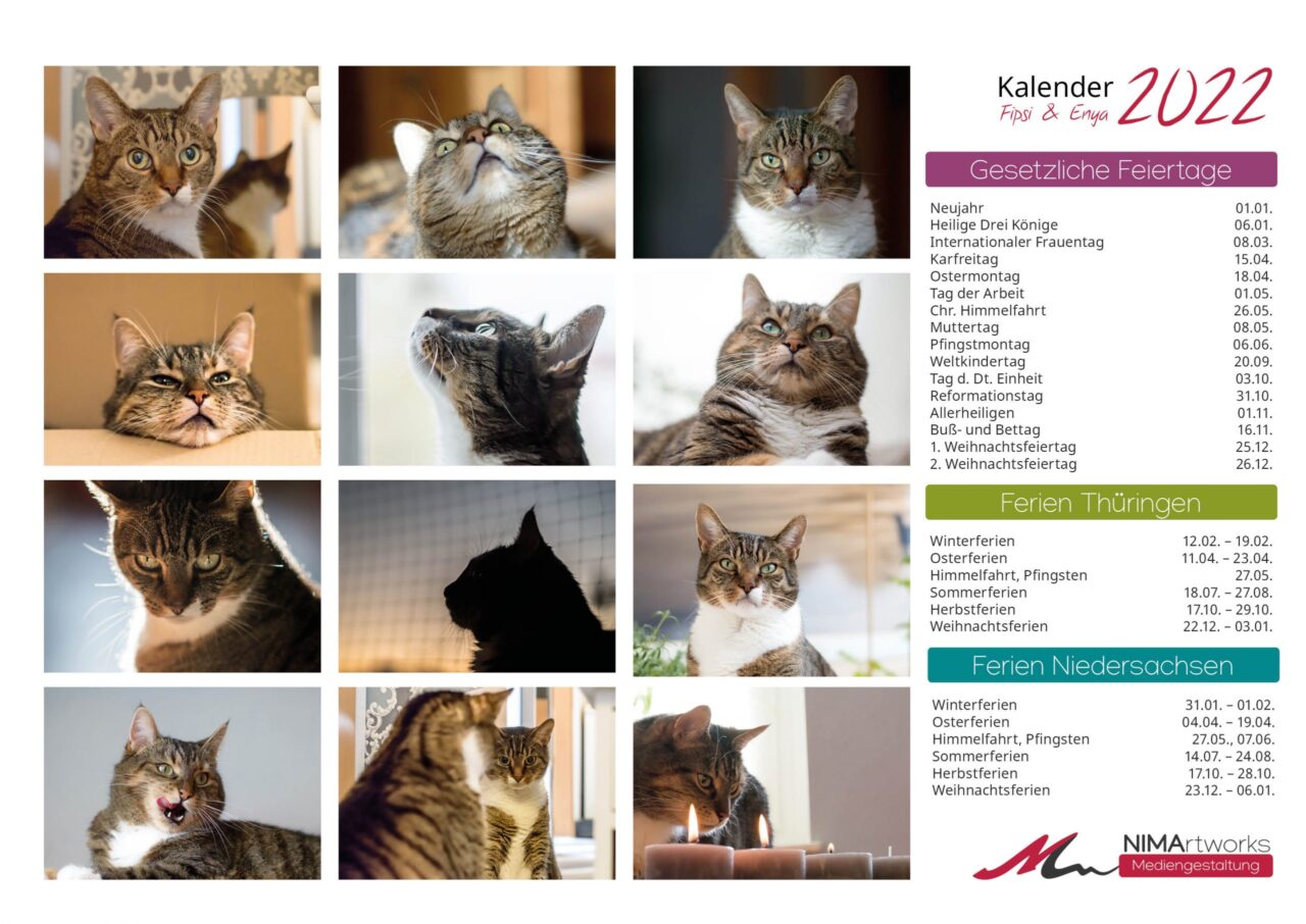 Katzenkalender 2022 Katzenkalender 2022