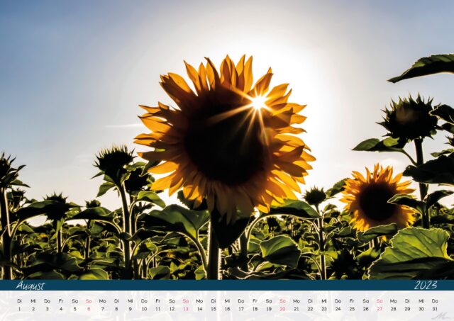 Kalender 2023