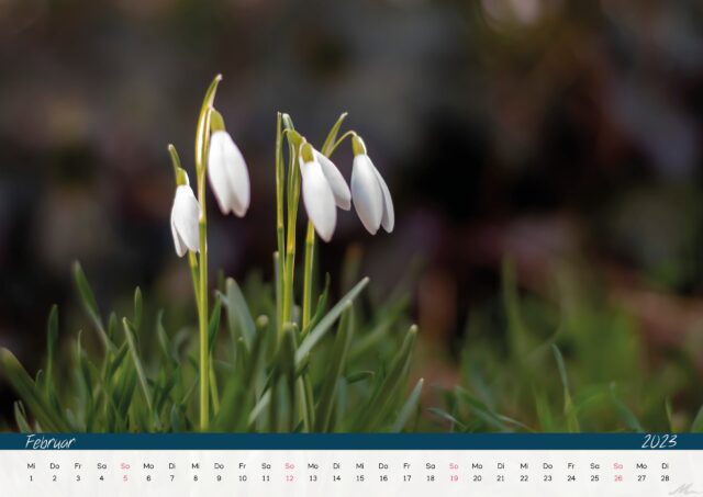 Kalender 2023