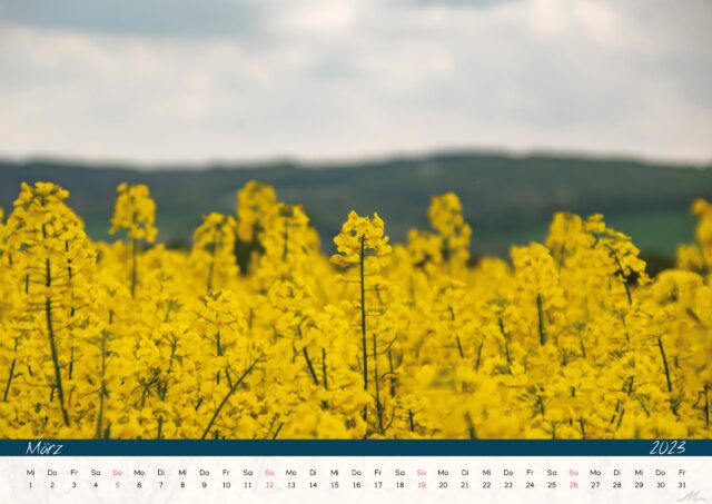 Kalender 2023