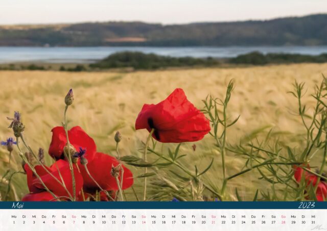 Kalender 2023