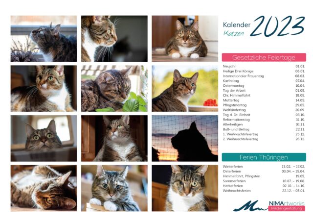 Katzenkalender 2023
