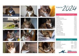 Kalender-Katzen24_Seite_02