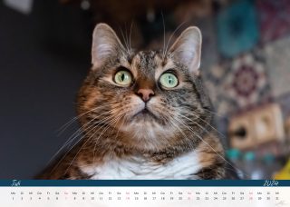 Kalender-Katzen24_Seite_09