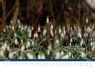 Kalender24_Seite_04