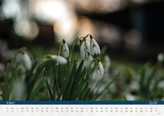 Kalender24_Seite_05