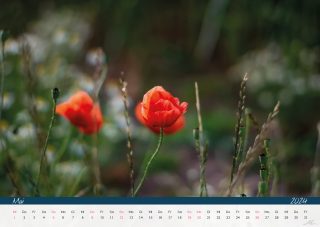 Kalender24_Seite_07