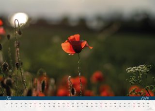 Kalender24_Seite_09