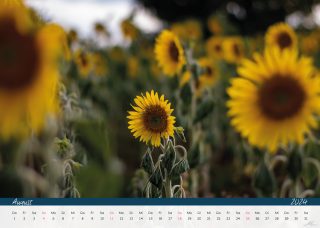 Kalender24_Seite_10