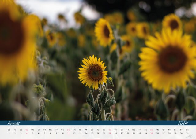 Kalender 2024