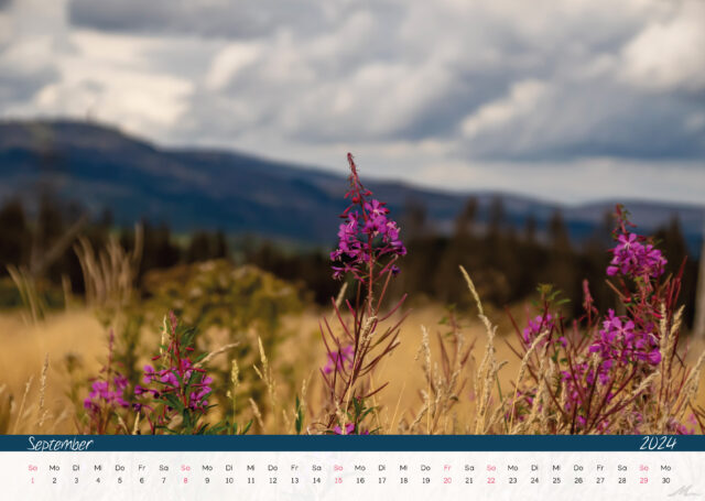 Kalender 2024