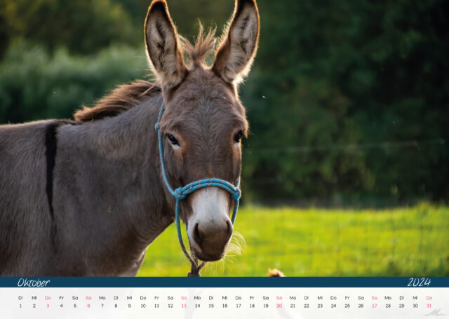 Kalender 2024