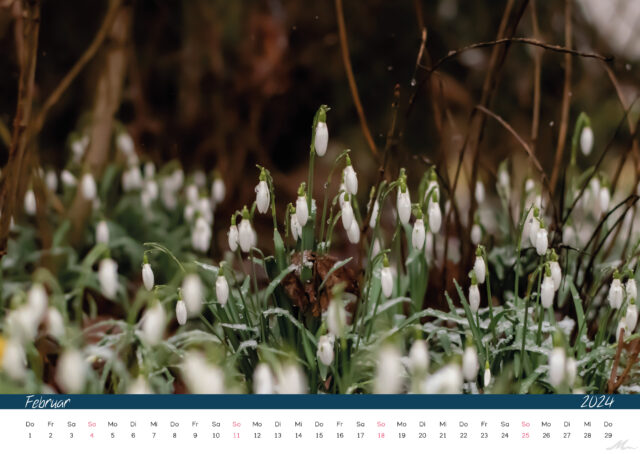 Kalender 2024