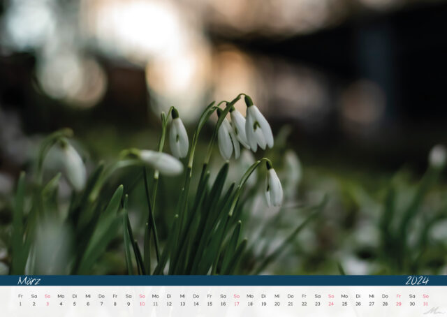 Kalender 2024