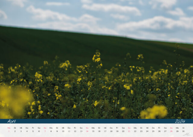 Kalender 2024