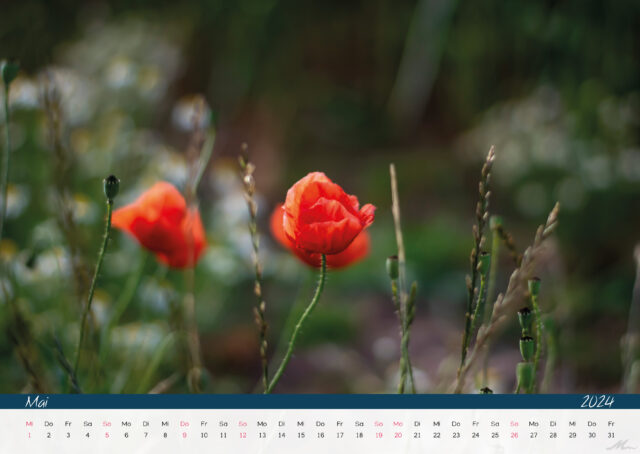 Kalender 2024
