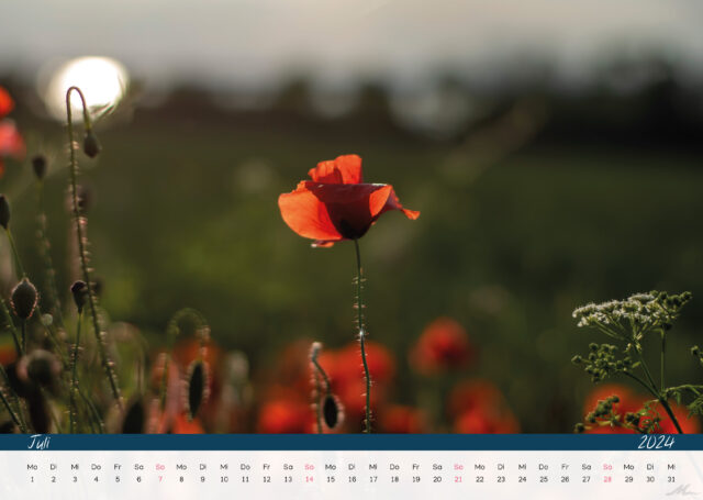 Kalender 2024
