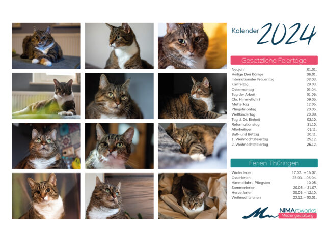 Katzenkalender 2024