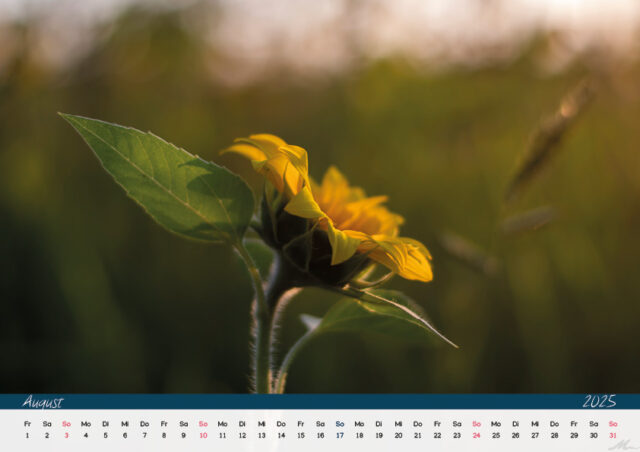 Kalender 2025