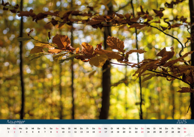 Kalender 2025