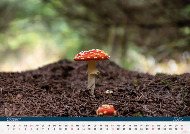 Kalender 2025